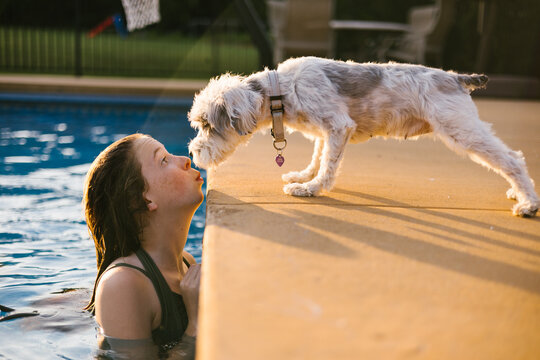 Schnauzer dog gives kisses to young teen girl in pool in summer