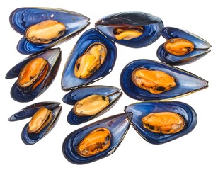 Close-up studio shot of cooked shellfish, showcasing vibrant orange flesh within glossy, dark-blue shells on a white background