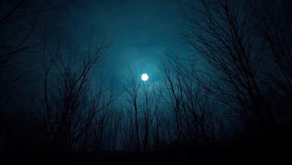 Moonlit forest with bare trees and eerie blue sky, haunting nighttime atmosphere