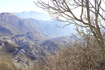 Bare tree branches framing a highlands view of the Bay of Kotor. Symbolizes Mediterranean winter mountain scenery, deciduous forest ecosystem, sustainable tourism practices, and eco-adventure.