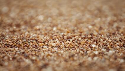 Close-Up View of Fine Grains of Sand on a Beach Surface