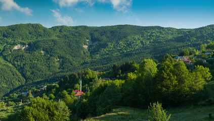 Fototapete bei efototapeten.de bestellen   