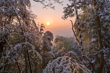 Sunrise on the snow-covered trails in the Moganshan Scenic Area, Deqing County, Huzhou City, Zhejiang Province, China.