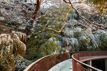 Sunrise on the snow-covered trails in the Moganshan Scenic Area, Deqing County, Huzhou City, Zhejiang Province, China.