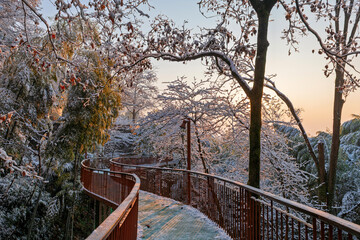 Sunrise on the snow-covered trails in the Moganshan Scenic Area, Deqing County, Huzhou City, Zhejiang Province, China.
