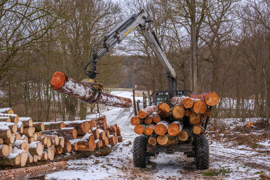 A forwarder piling logs in the forest in winter in vienna woods in austria