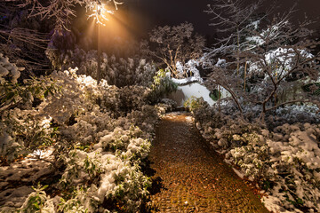 Snow-covered night view of Lu Hua Dao Park in Moganshan Scenic Area, Deqing County, Huzhou City,...