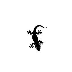Silhouette of a gecko