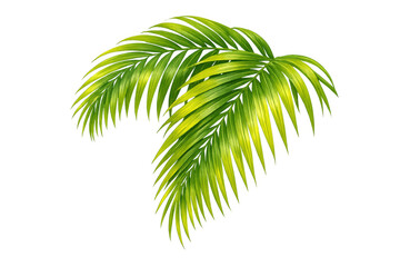 Fototapeta premium Green palm fronds creating a tropical vibe, exotic foliage element on transparent background for design