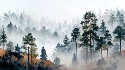 Foto auf Acrylglas Wald im Nebel Misty forest landscape with tall pine trees in the morning light.  © mila103