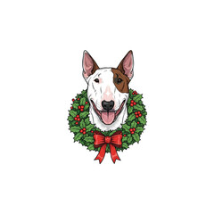 Bull Terrier dog wearing Christmas wreath
