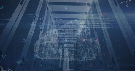 Cyber security data processing, security padlock and cloud icon against empty computer server room - Powered by Adobe