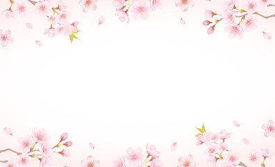 Cherry Blossom Floral Frame Background with Sakura Flowers