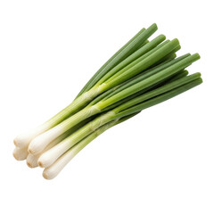 Fototapeta premium Bunch of Green Onions Isolated Black Background