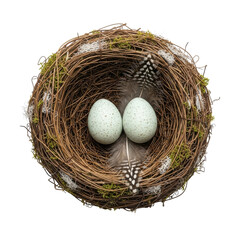Fototapeta premium Bird Nest Two Eggs Feathers Black Background