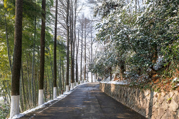 The shady paths after the snowfall in the Mogan Mountain Scenic Area of Deqing County, Huzhou City, Zhejiang Province, China.