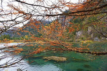 The magnificent autumnal landscape surrounding Longwang Lake in Bipenggou Park, Sichuan Province, China, is breathtaking in the early morning light