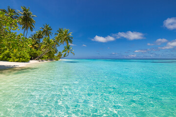 Pristine tropical beach landscape featuring turquoise ocean white sand palm trees summer travel vacation destination exotic island paradise serene seaside scenery tropical summer holiday background