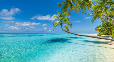 Pristine tropical beach landscape featuring turquoise ocean white sand palm trees summer travel vacation destination exotic island paradise serene seaside scenery tropical summer holiday background