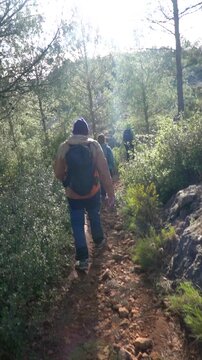 Slow motion, people hiking in the forest on a winter susnet.