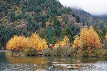 The magnificent autumnal landscape surrounding Longwang Lake in Bipenggou Park, Sichuan Province, China, is breathtaking in the early morning light
