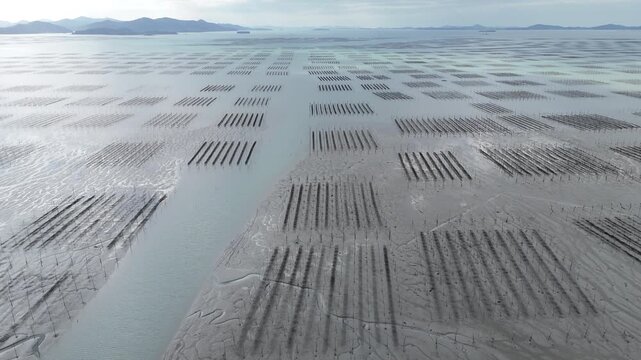 Aerial view of traditional Pole-system Laver Aquaculture Farm on the vast mudflats of Shinan, South Korea (대한민국 신안의 광활한 갯벌 위 전통 지주식 김 양식장 항공 뷰)