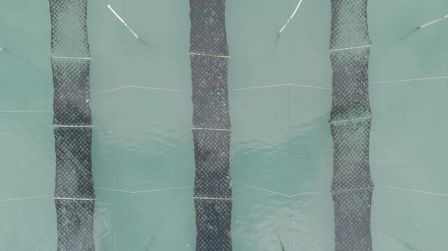 Aerial view of traditional Pole-system Laver Aquaculture Farm on the vast mudflats of Shinan, South Korea (대한민국 신안의 광활한 갯벌 위 전통 지주식 김 양식장 항공 뷰)