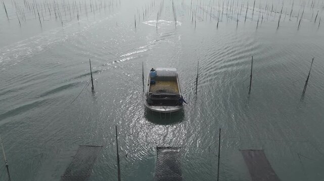 Aerial view of farmers harvesting seaweed from traditional Pole-system farms in Shinan mudflats (신안 갯벌의 전통 지주식 양식장에서 김을 채취하는 어민들의 항공 뷰)