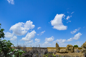 clouds over the sky landscape plants and trees nature