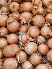 Pile of yellow onions with papery dry outer skins. Harvesting, fresh produce. Close-up.