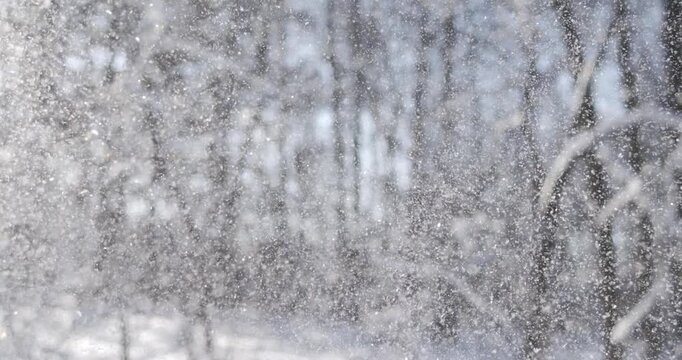 Winter landscape during snowfall. Winter Christmas abstract background on super slow motion.