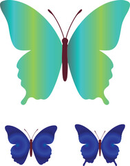 create a butterfly vector with white background