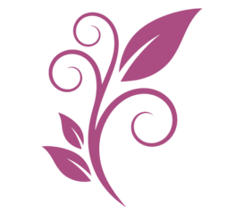 Simple pink leaf branch with elegant swirls isolated on clear background