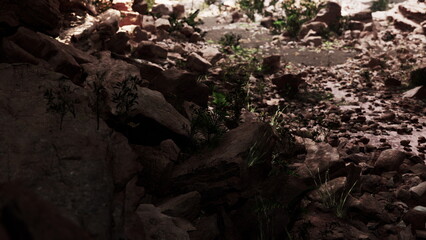 Obraz premium Sunlight filters through rocky outcrops, illuminating a mix of stones and delicate greenery. The interplay of light and shadow creates a captivating display on the natural landscape.