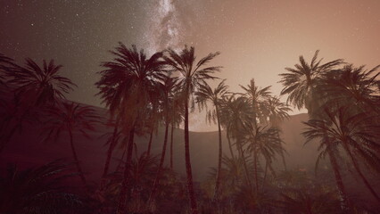 Obraz premium Palm trees rise against a backdrop of a glowing horizon under a vast night sky filled with stars. The atmosphere is calm and serene, showcasing natures beauty in the desert.
