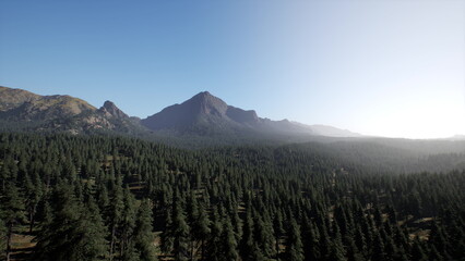 Obraz premium A breathtaking view of towering mountains surrounded by an expanse of verdant trees under a clear blue sky. Sunlight gently warms the landscape, creating a peaceful atmosphere.