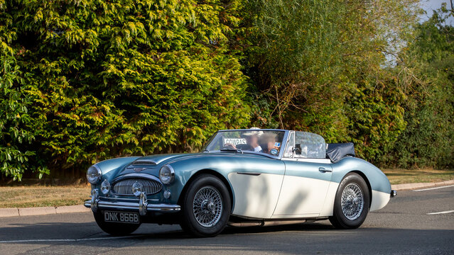 Whittlebury,Norhants,UK - Aug 23rd 2025: 1964 blue Austin Healey 3000 classic British sports car driving on a British road