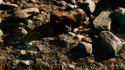 Sunlight casts shadows on a natural landscape of varied stones nestled in earthy ground. The scene...