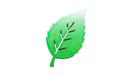 Green leaf with cutouts on white background