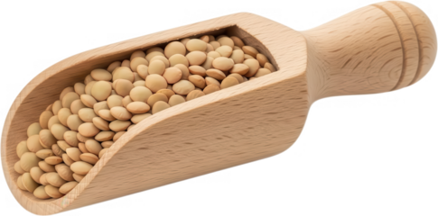 A wooden scoop filled with dried brown lentils showcasing their small round and earthy appearance food legume ingredient raw natural organic healthy cooking transparent background