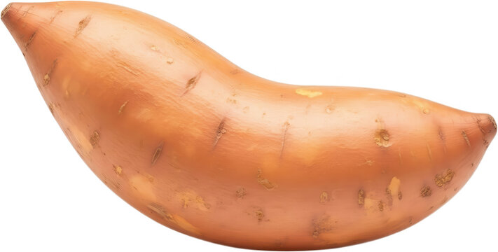 A single curved orange sweet potato with subtle brown markings and a smooth texture highlighting its natural organic form and earthy appearance yam root vegetable transparent background
