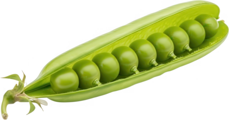Fresh green peas arranged in a vibrant pod showcasing their spherical shape and plump texture with natural lighting fresh peas pea pod legume vegetable transparent background