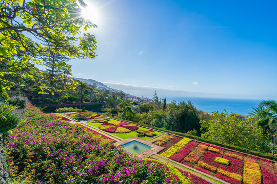Beautiful panoramic view of the Botanical Gardens in Funchal, Madeira, with vibrant flower patterns, lush greenery, and ocean backdrop