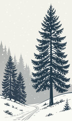 Obraz premium Winter Forest Landscape with Evergreen Trees and Snow.