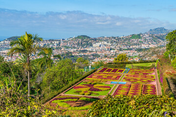 Beautiful panoramic view of the Botanical Gardens in Funchal, Madeira, with vibrant flower patterns, lush greenery, and ocean backdrop