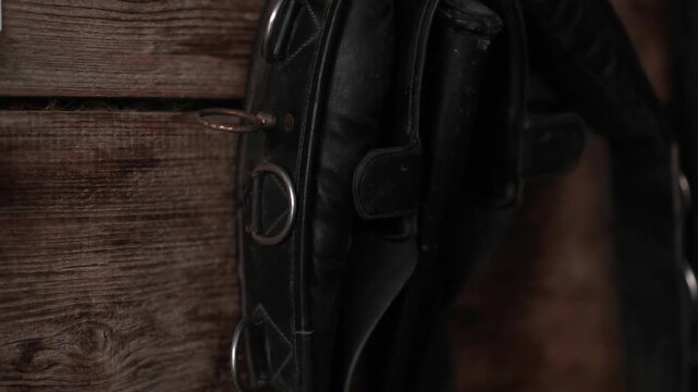Close up of a horse lunging surcingle hanging on a wooden wall inside a stable, showing equestrian training equipment