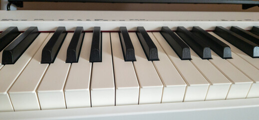 Black and white shiny piano keys close-up