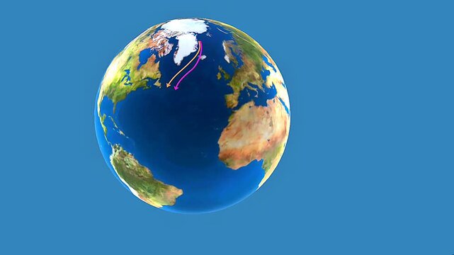 Arctic tern migrates annually between Arctic and Antarctic, covering the longest bird migration route.