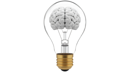 Human Brain in Light Bulb with Creative Idea in Soft Focus and White Lighting for Business