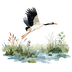 Obraz premium Elegant Crane Flying Watercolor Illustration in Wetland.